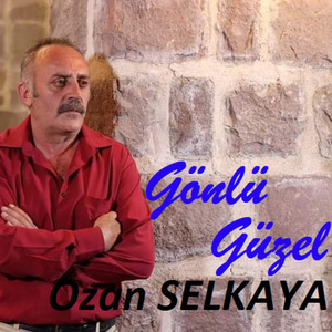 Gidebilirsin