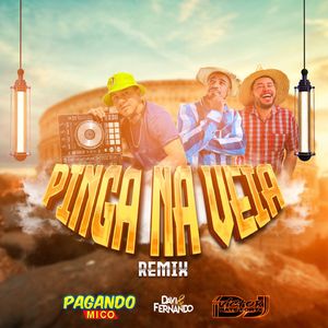 Pinga Na Veia (Remix)