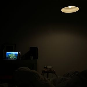 野心与自尊心在夜晚和解 demo