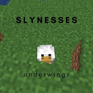 Slynesses