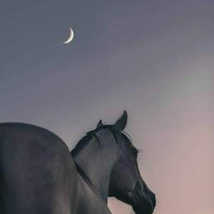 Miyagi & Эндшпиль-Fire Man（VaSka / 政通 remix）