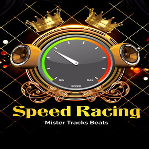 Speed Racing