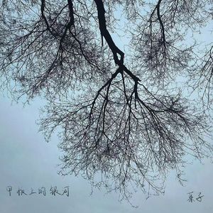 甲板上的银河（feat_大放儿）