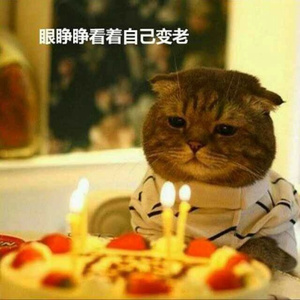 阿花的故事(cover 吴梓晴）（翻自 无）