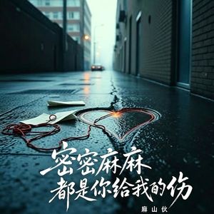 密密麻麻是你给我的伤