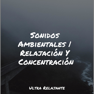 Sueños Relajados