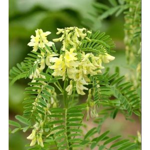 时光涟漪夜未央