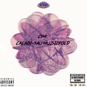 DeoxyRomoNucleicAcid