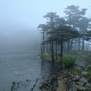 Tranquil Valley