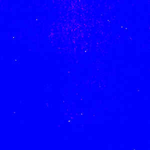 WWF (Whole World Flow)