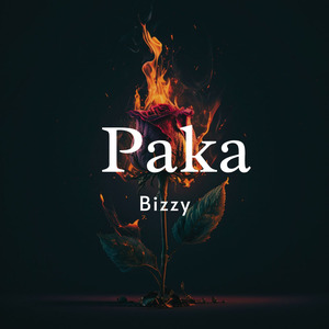 Paka
