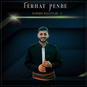 Seva Sor Sere Dare Halay Kürtçe (feat. Ferhat Penbe)