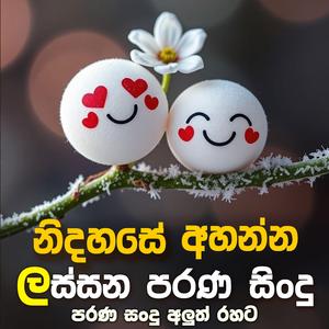 Parana Sindu – පරණ සිංදු අලුත් රසට (Sinhala Songs New Style)