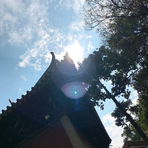 会跳舞的蚂蚁-期待长大.wav（网易天音 remix）