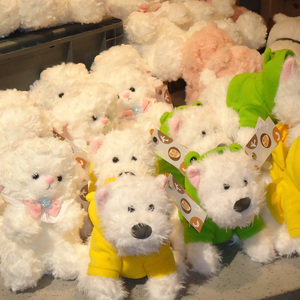 雨幕里的星芒与晚安