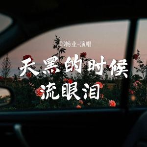 天黑的时候流眼泪