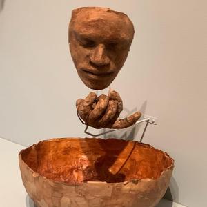 AFS TEST (Gingervitus)