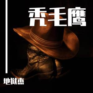 牛仔决斗秃毛鹰