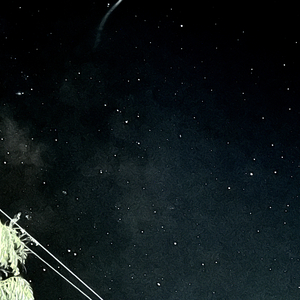 陪我度过漫长岁月