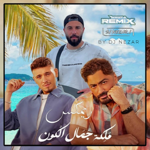 Tamer Hosny & Al Shami Maleket Gamal El Kon (Remix)