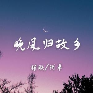 晚风归故乡