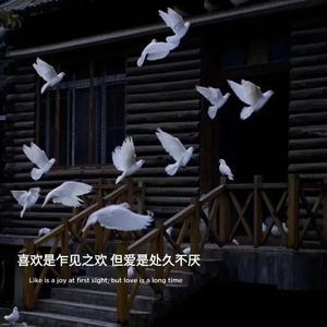 理想三旬（翻唱）