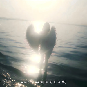 magic card (Dj感觉至上版)