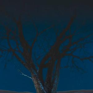 MOON(中文填词)（翻自 (G)I-DLE）