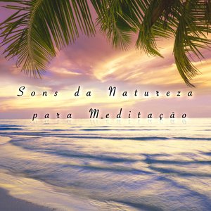 Music Box for Insomnia