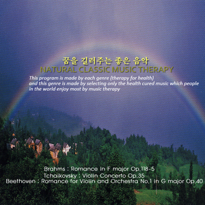 Romance for Violin and Orchestra No.1 in G major Op.40 베토벤：바이올린과 관현악을 위한 로망스 제1번 G장조 작품40