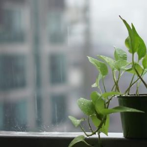 等风过