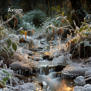 Axiom