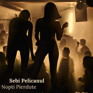 Nopti Pierdute