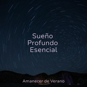 Señales Luminosas