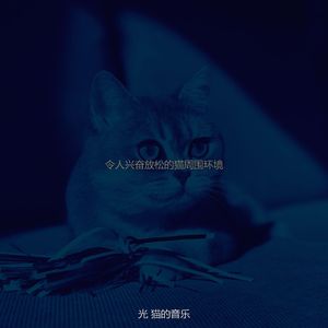 微妙的压力大的猫心情