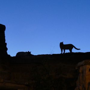 Aragon