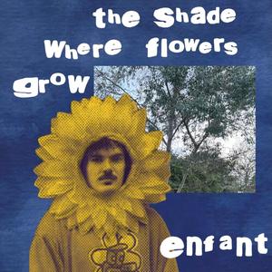 the shade where flowers grow