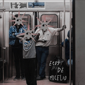 Ecos de micelio