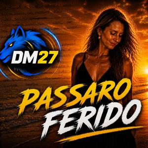 Passaro Ferido (PT)
