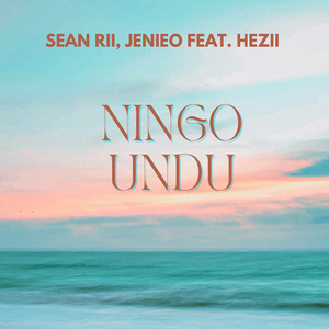 Ningo Undu