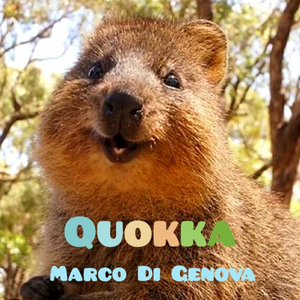 Quokka