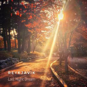 Last Night Dream