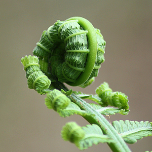 Corriendo En La Arena