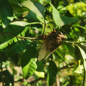 星光下的空灵宇宙之梦