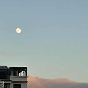 【钢琴】仙湖雨