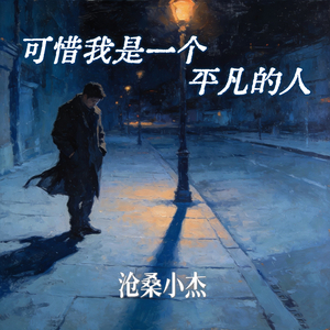 可惜我是一个平凡的人