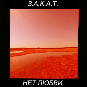 Мимикрия (Егор Летов Cover)