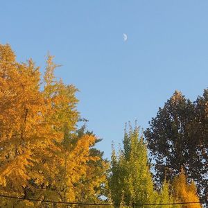 形容（沈以诚）