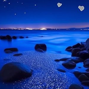 晨光里的谎言残局