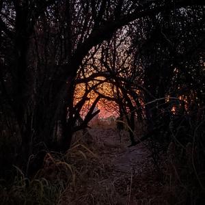 Peering Over the Edge